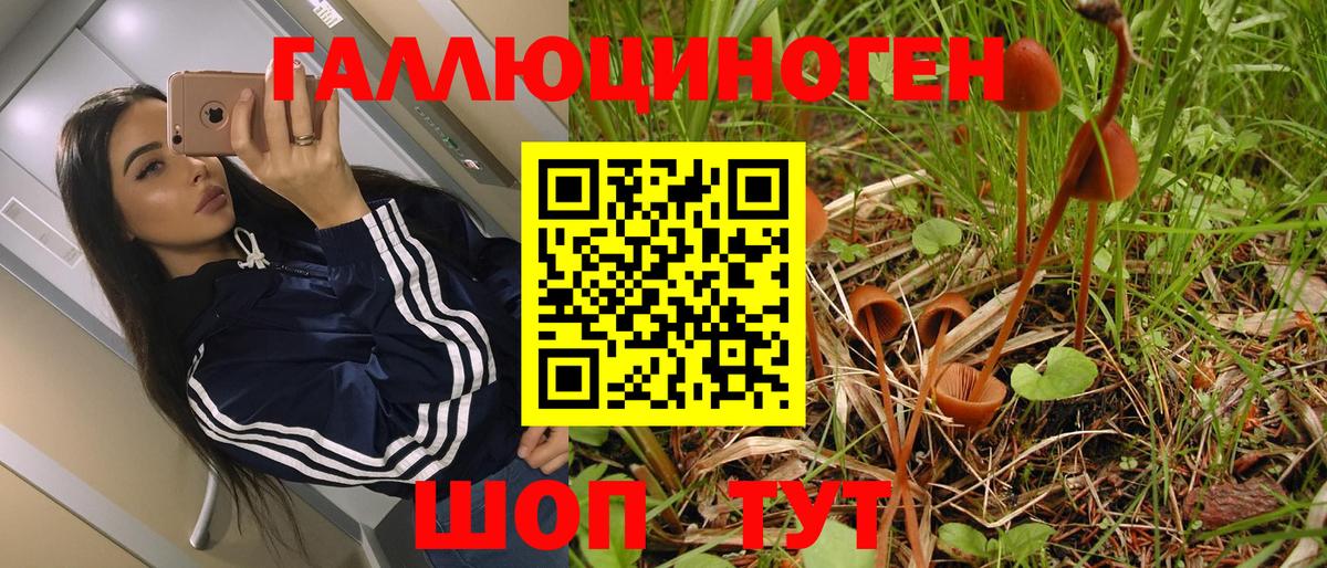 Галлюциногенные грибы Magic Shrooms  Галлюциногенные грибы Magic Shrooms  Пыть-Ях 