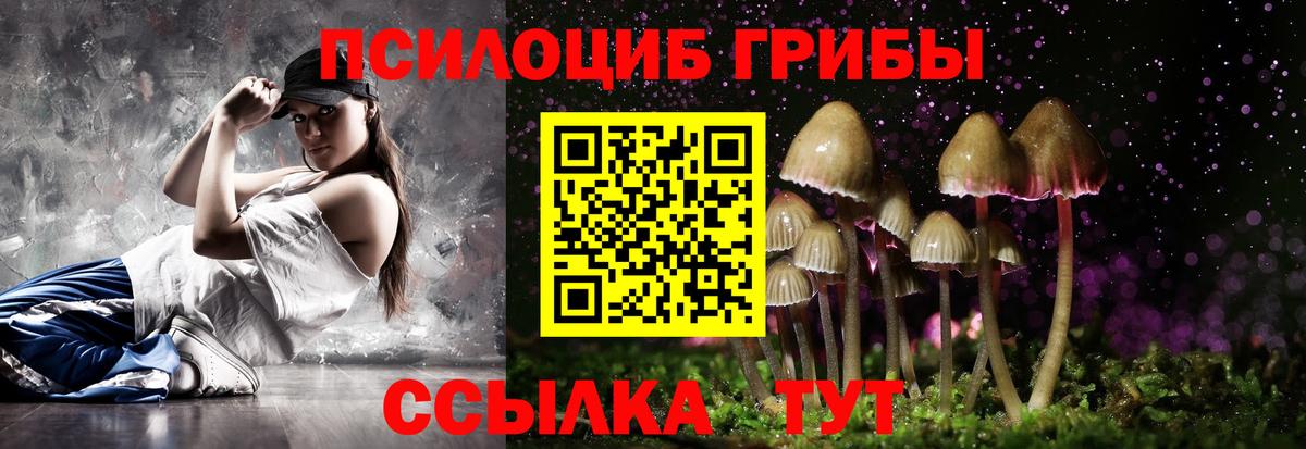 Пыть-Ях  Псилоцибиновые грибы GOLDEN TEACHER  Вход с VPN 