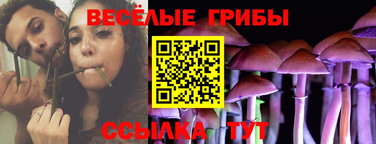 Псилоцибиновые грибы мицелий Пыть-Ях